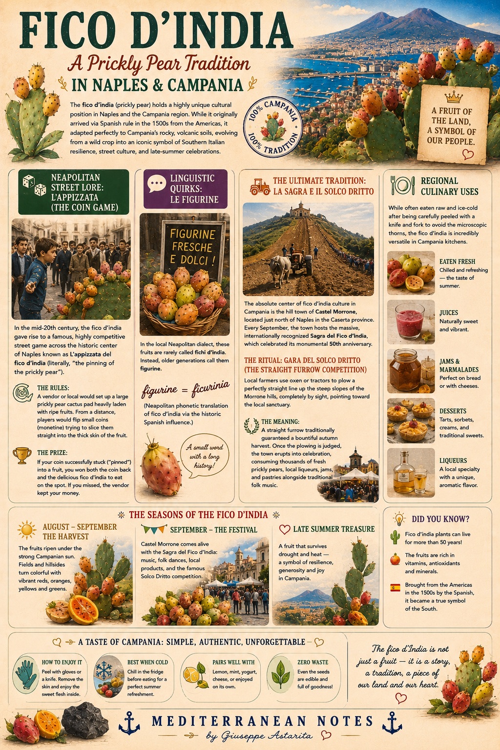 Fico d'India in Campania -- the prickly pear, the coin game, the Sagra di Castel Morrone