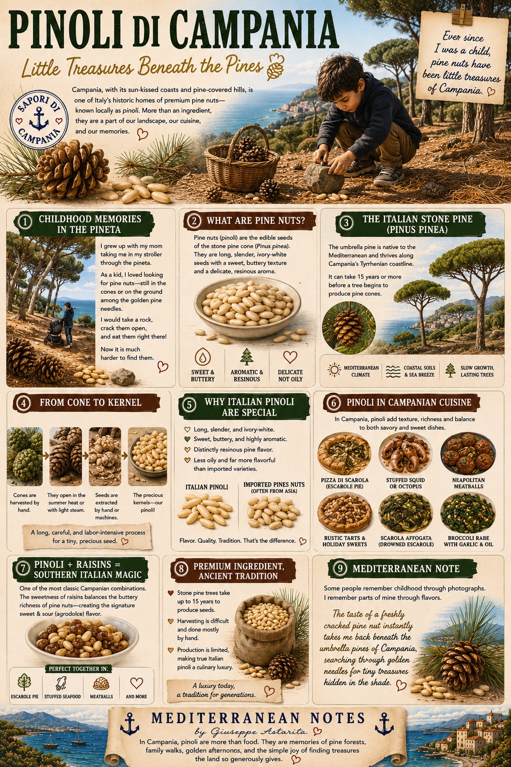 Pinoli di Campania — infographic by Giuseppe Astarita
