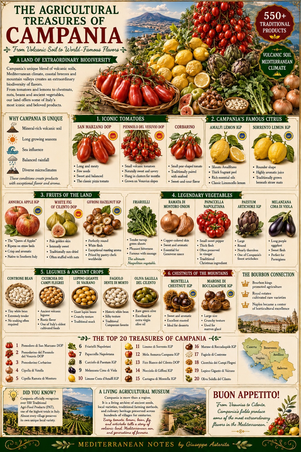 The Agricultural Treasures of Campania — 550+ PAT products infographic