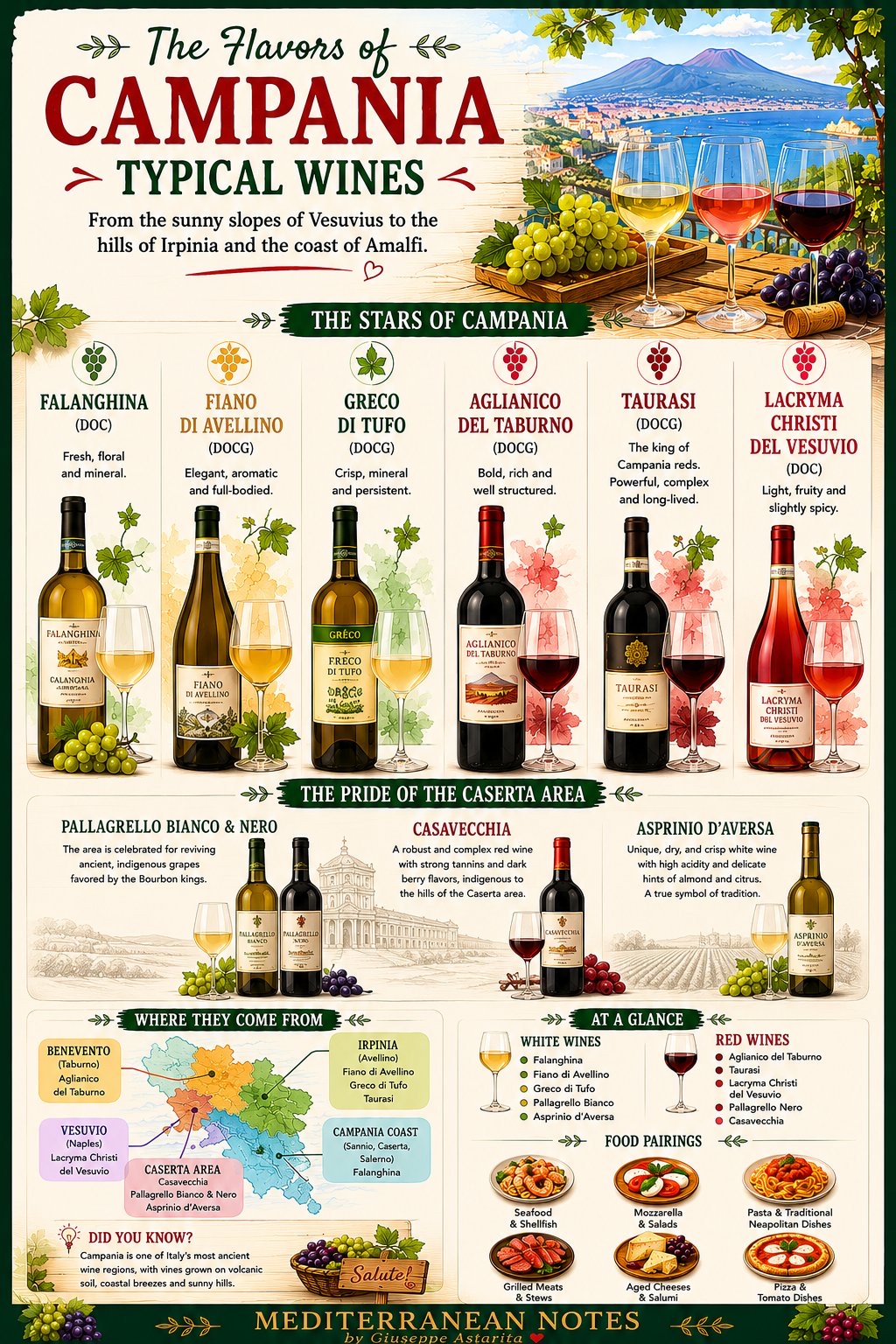The Flavors of Campania — Typical Wines infographic